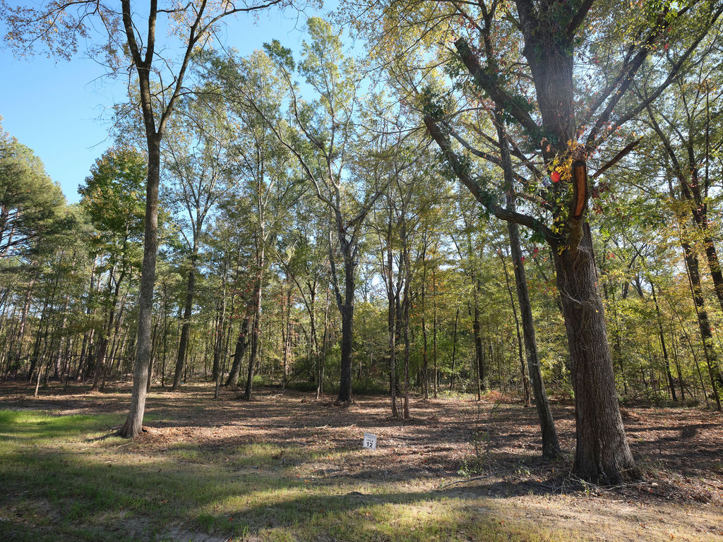 barksdaleridge-2024-complete-0063