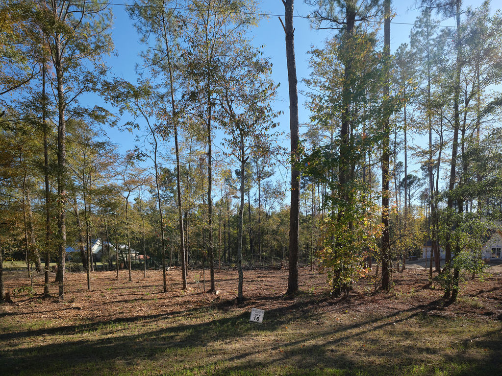 barksdaleridge-2024-complete-0080